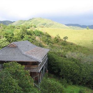 O'Luina